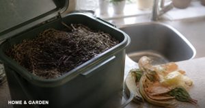 A worm composting bin on a kitchen counter, open and full of dark compost, next to vegetable scraps and a sink.