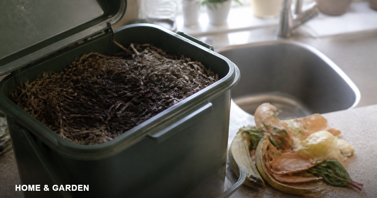 A worm composting bin on a kitchen counter, open and full of dark compost, next to vegetable scraps and a sink.